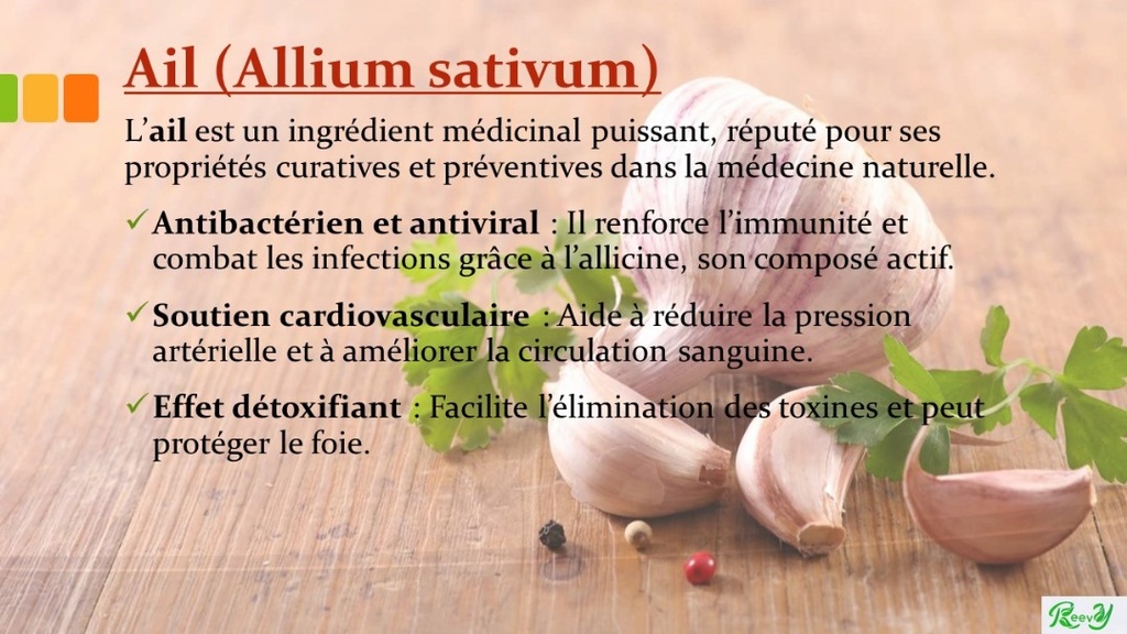Smoothie lactofermenté