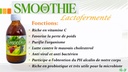 Smoothie lactofermenté