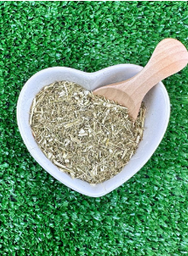 Artemesia