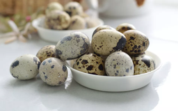 Oeuf de caille