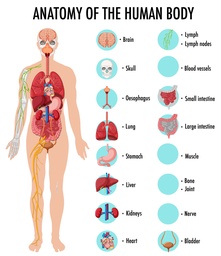 BILAN DE VITALITÉ